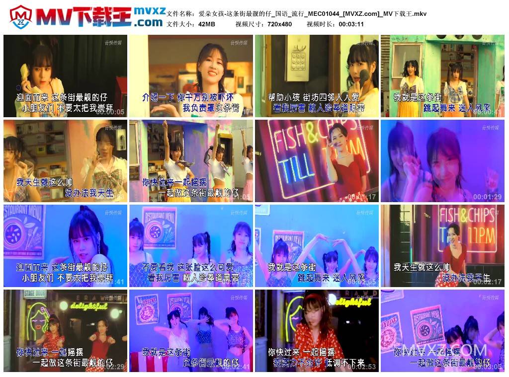 爱朵女孩-这条街最靓的仔_国语_流行_MEC01044